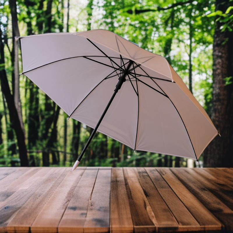 Transparent long-handled umbrella