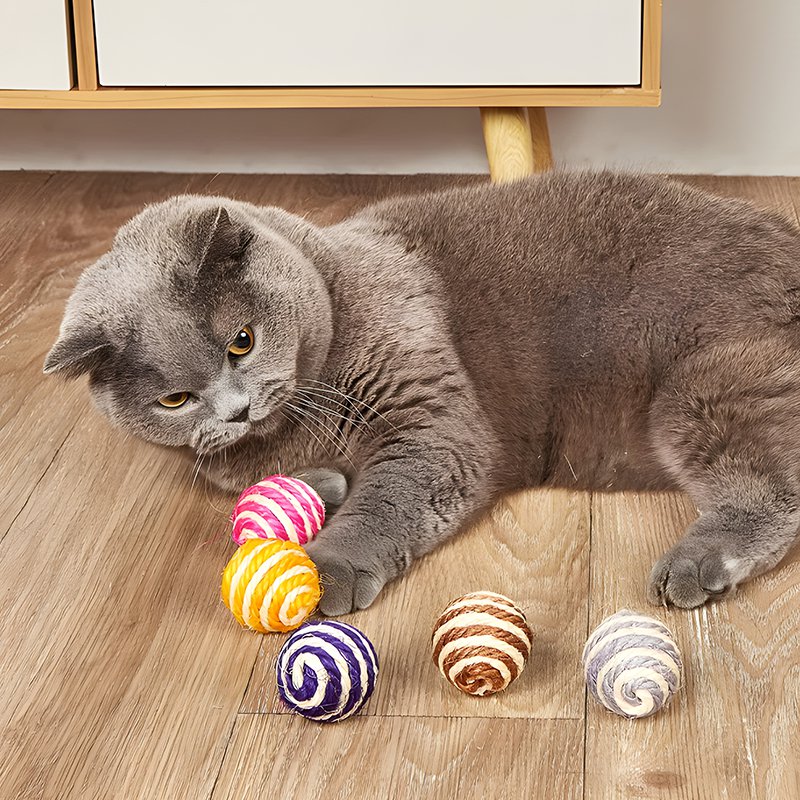 ของเล่นแมว Sissar ลูกบอล