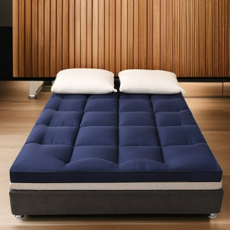 Thickened Feather Velvet Mattress for Student Dormitory Foldable Single Tatami Soft Mat