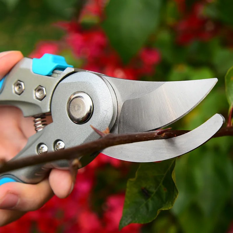 Narzędzia ogrodowe Szczepka przycinarka