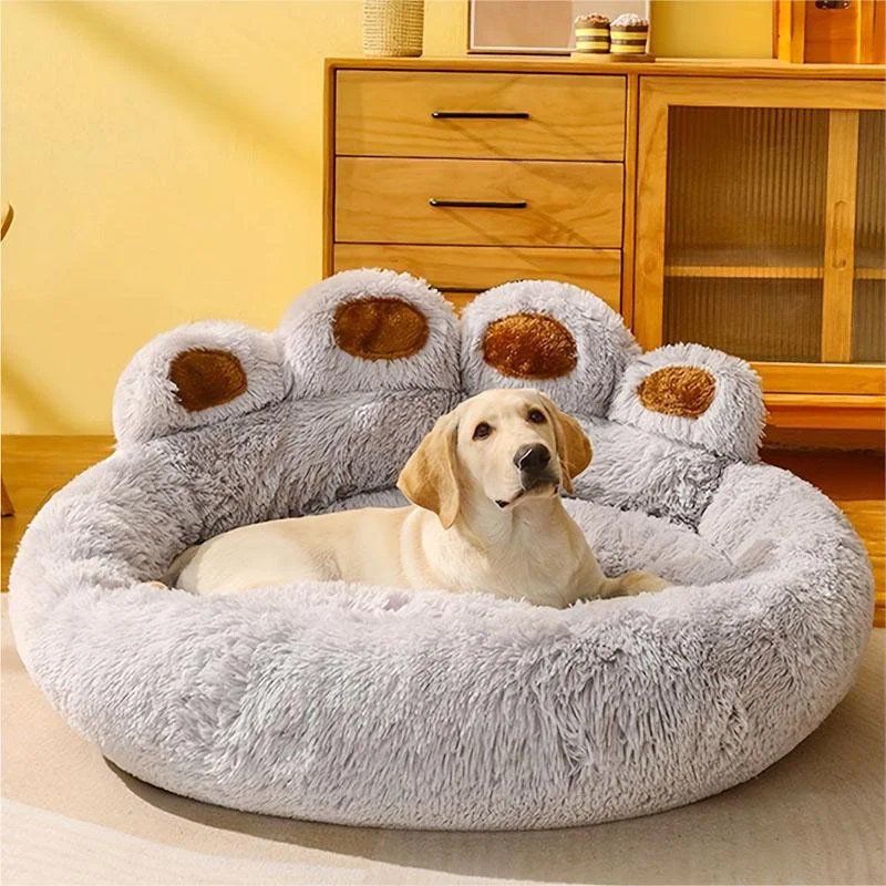 만화 곰발 고양이 개 침대