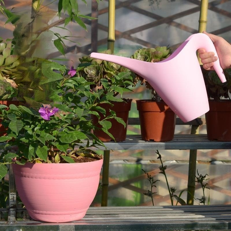 家庭用長い注ぎ口の植物用水差し