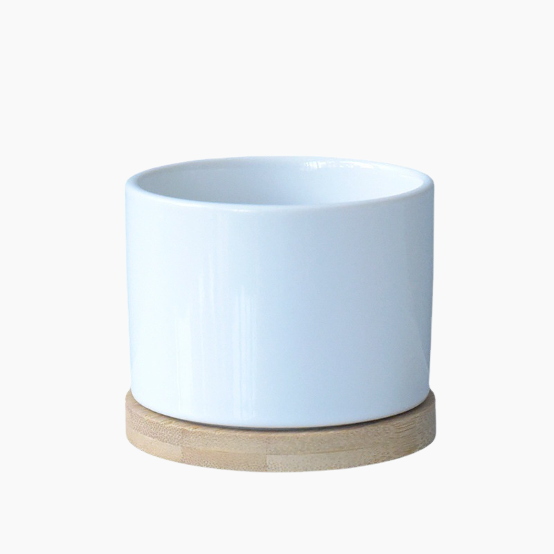 Ceramic Succulent Pot, Decorative and Perfect for Homes with Pets