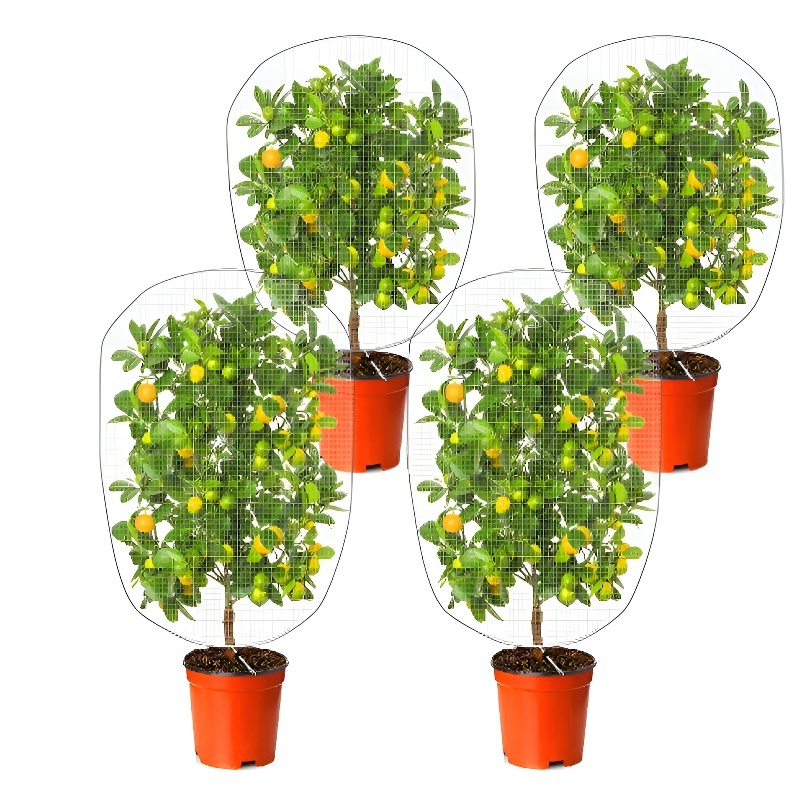 野菜栽培用ビニールハウス囲いネット