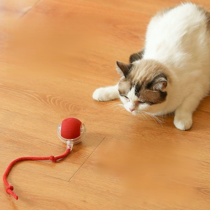 Intelligent electric pet teasing ball