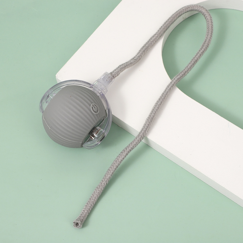 寵物貓狗玩具