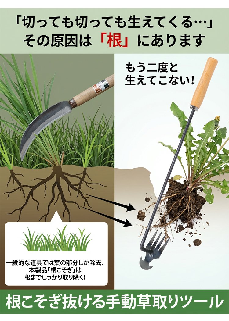 除草_10.jpg