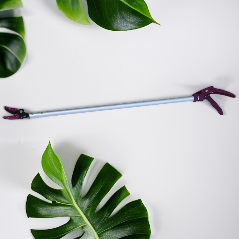 고급 알루미늄 합금 과일 수확 가위 리치 롱안 전용