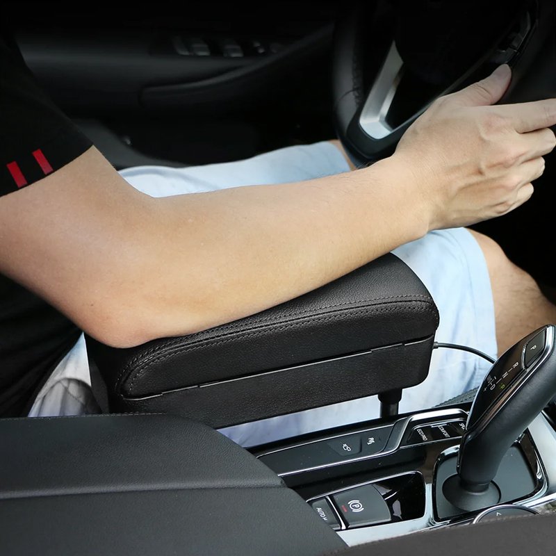 Portable car storage box