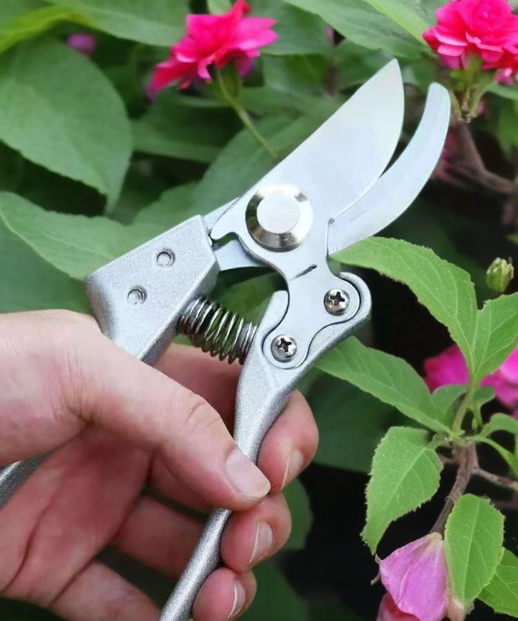 강력한 정원 가지치기 가위 제품 사진