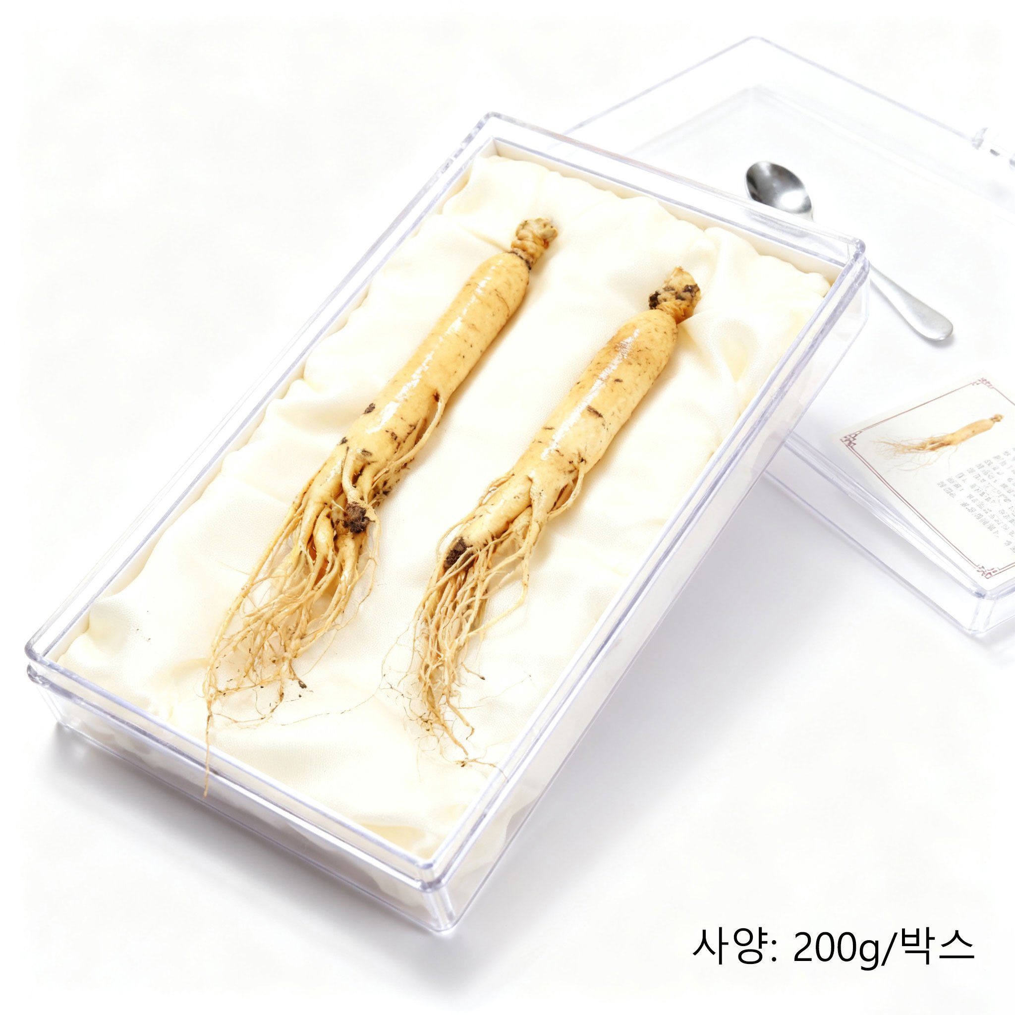 신선한 프리미엄 인삼 뿌리 사진