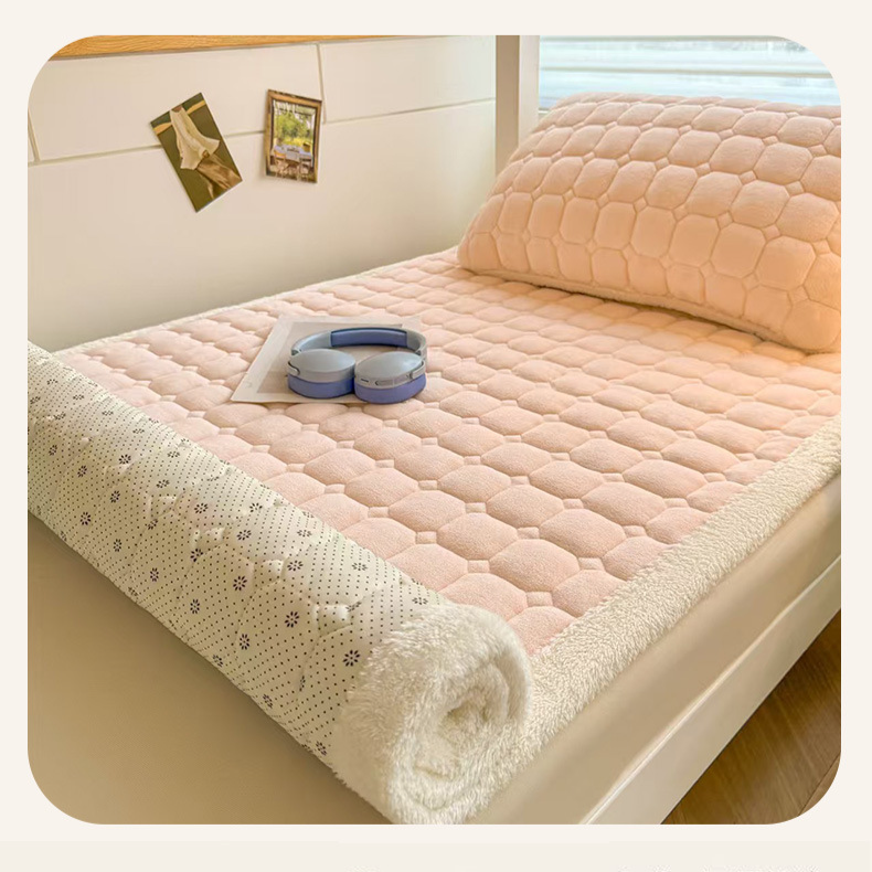 순수 컬러 밀크 벨벳 양면 가정용 매트리스