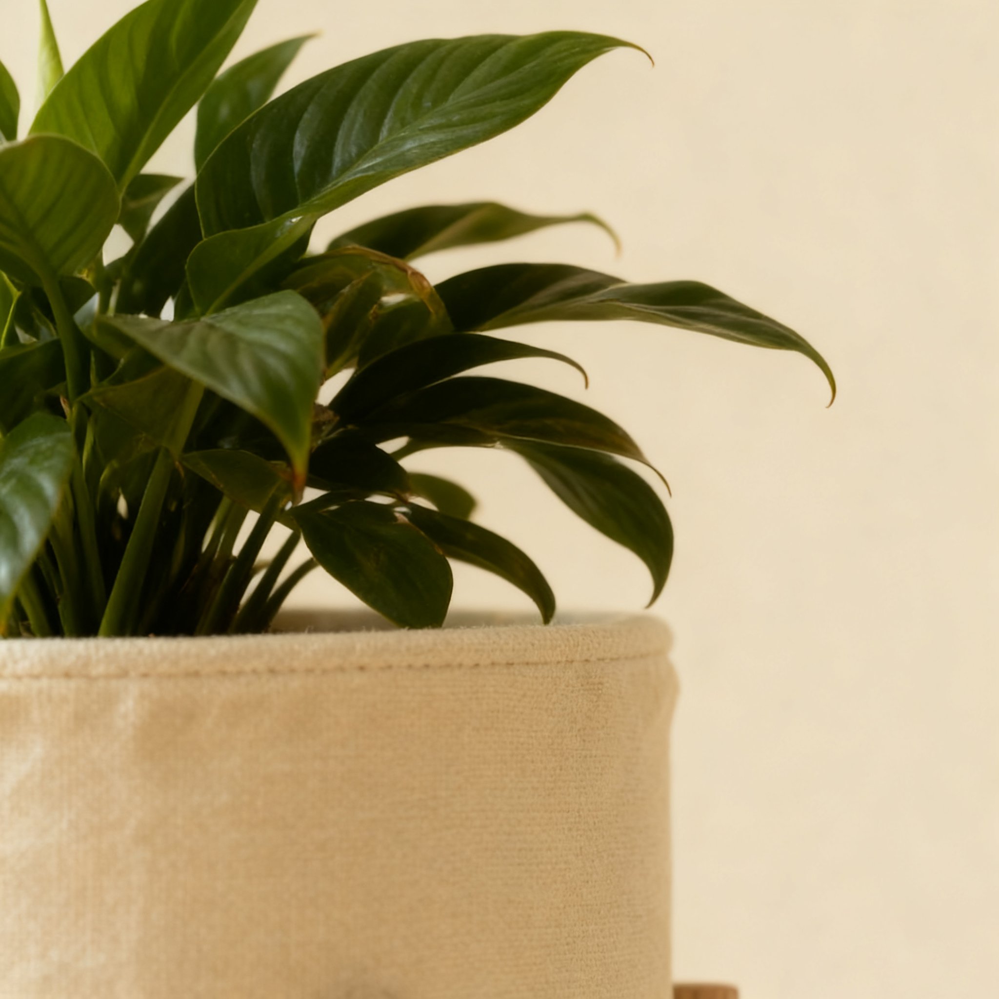 Wohnzimmer Dekorations-Pflanzenständer