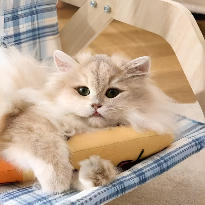 Pez de lino con catnip para gatos