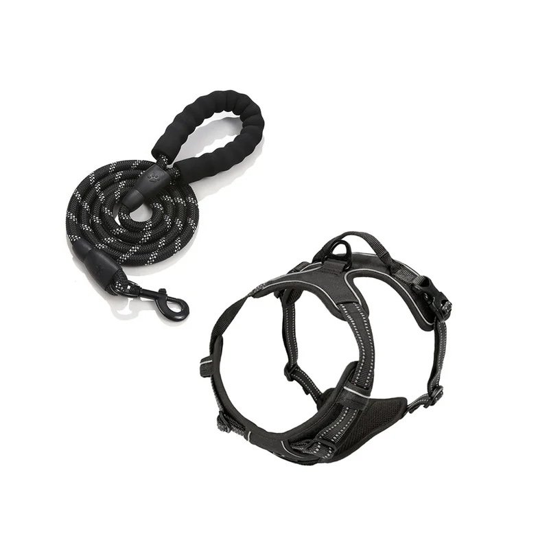 สายจูงสุนัขสำหรับปลอกคอ