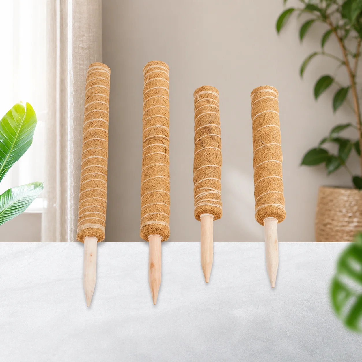 Coconut Coir Plant Support Pole
