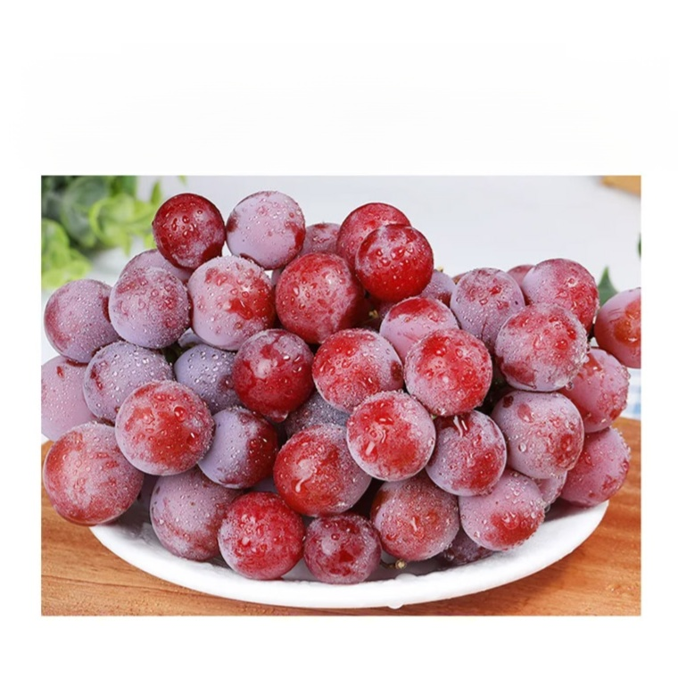 เมล็ดองุ่น