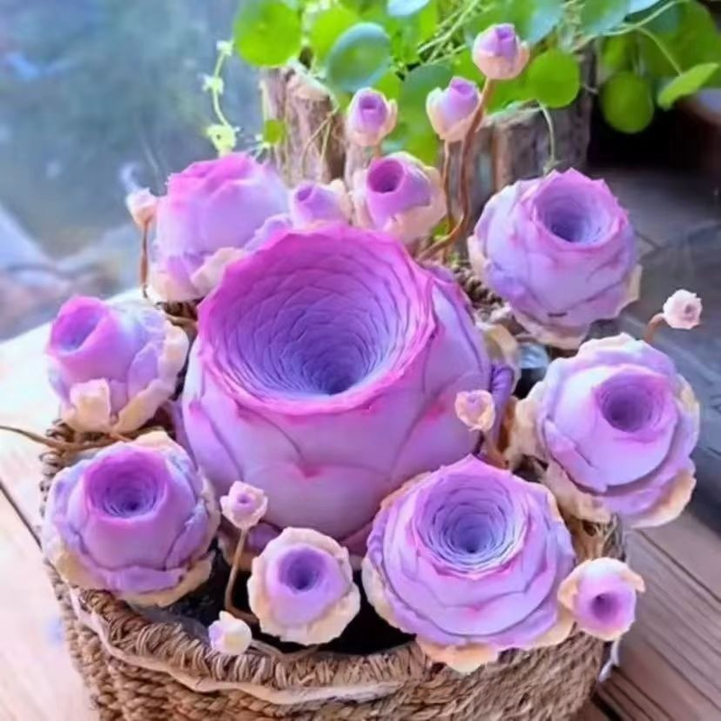 Planta suculenta Mountain Rose en maceta