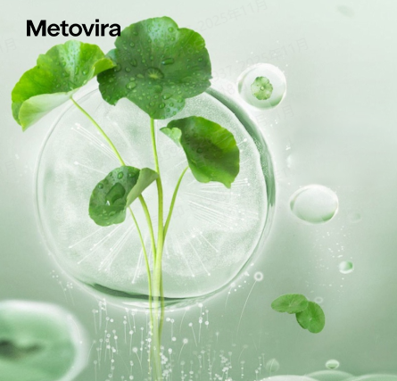 แชมพูแบบพกพา ไม่ต้องล้างออก สดชื่นและฟูอย่างเป็นธรรมชาติ