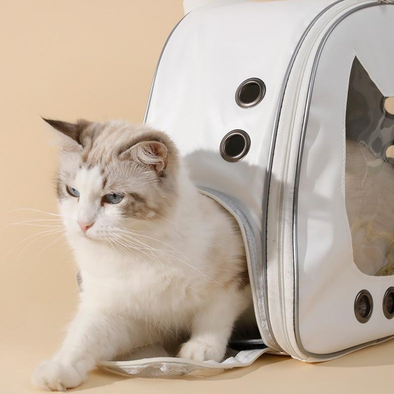 대용량 반투명 고양이 얼굴 반려동물 백팩 휴대용 이동가방