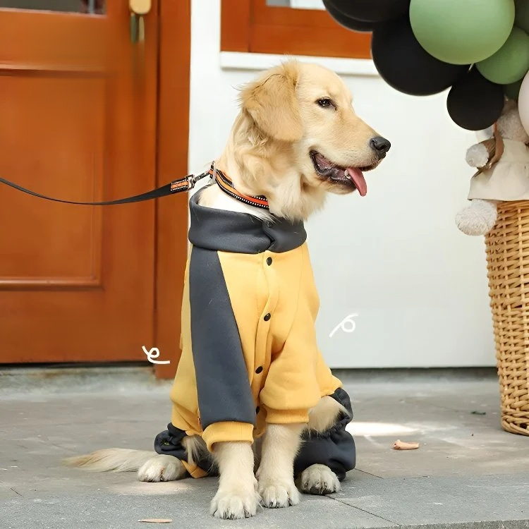 秋冬ペットセーター