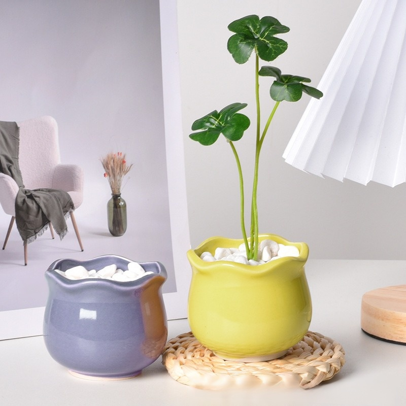 인테리어용 미니 선인장 다육이 화분 세트