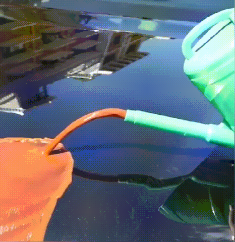 1618395531384261.gif