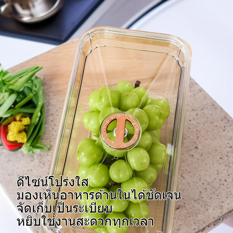 กล่องถนอมอาหารพลาสติกใสเกรดอาหารสำหรับแช่แข็ง