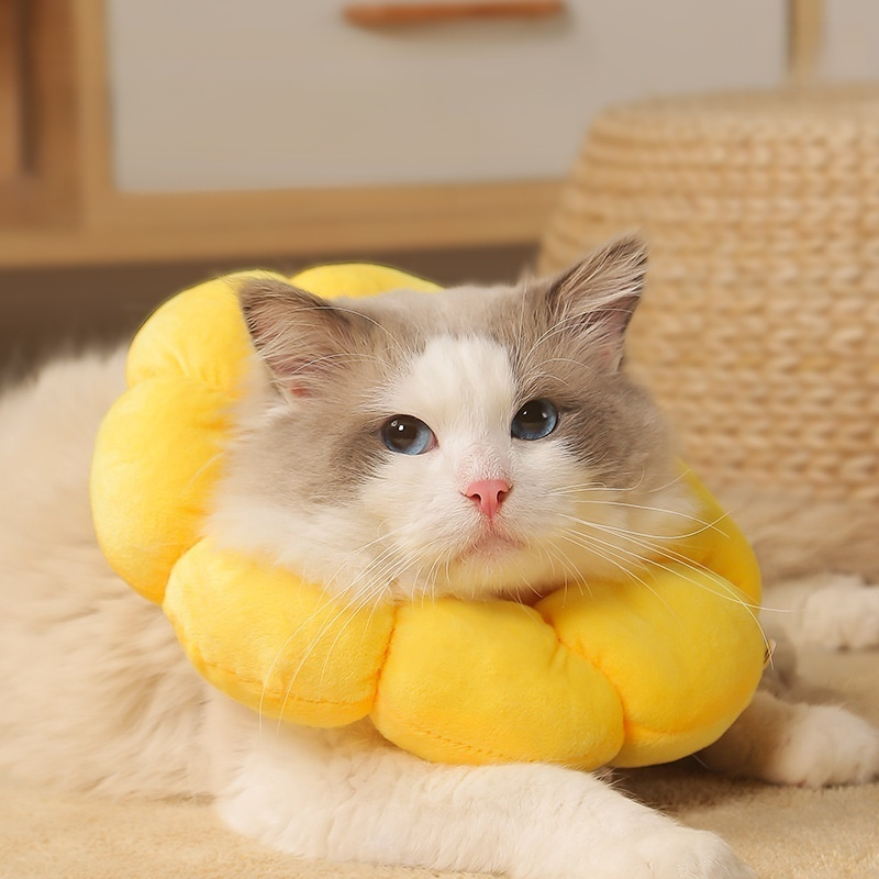 엘리자베스 펫 목걸이