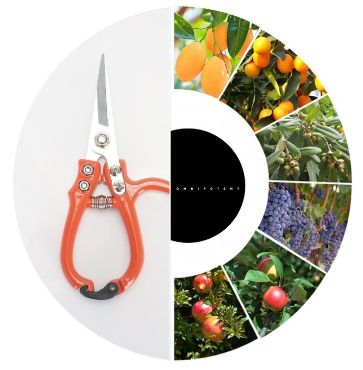 Gardening pruning shears