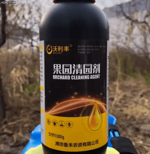 翻译_05.webp