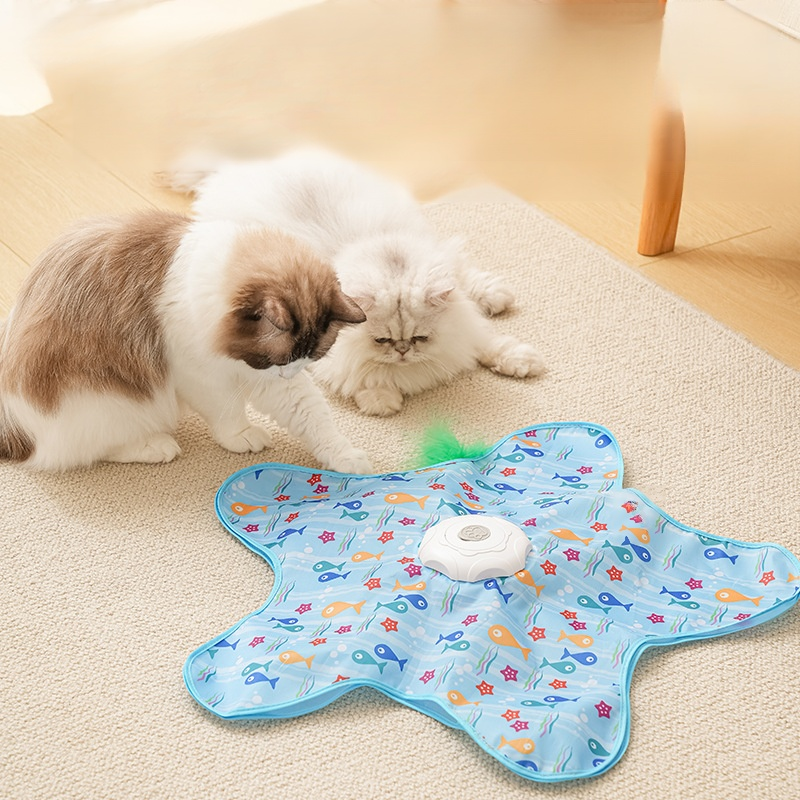 Interactive Cat Chase Toy