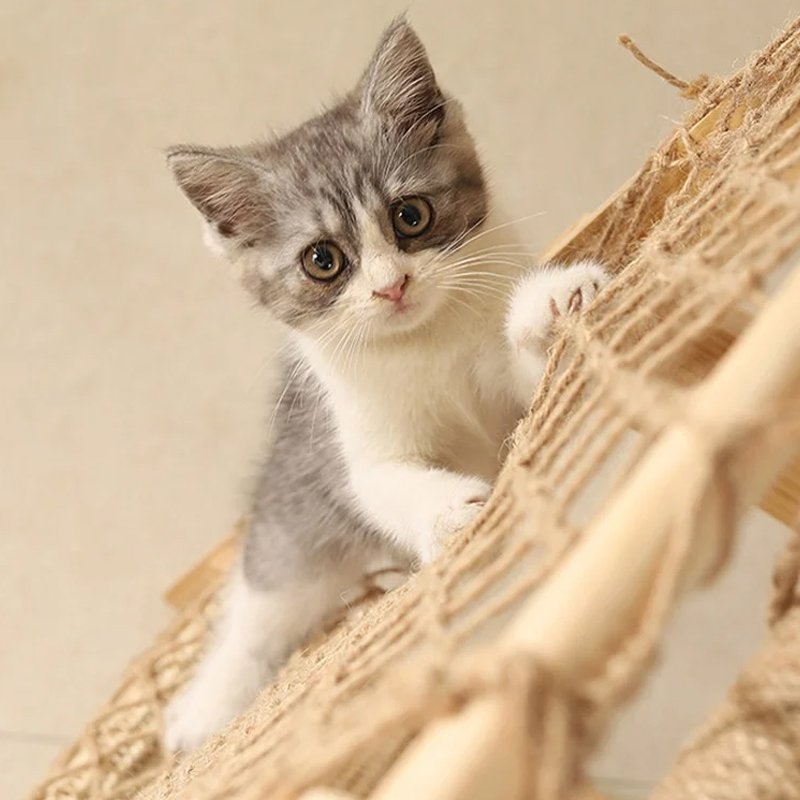 多功能實木耐磨不掉屑一體猫爬架