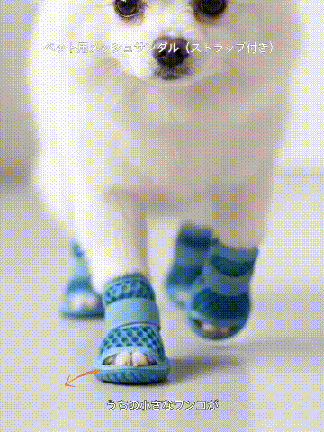 proxy (3).gif