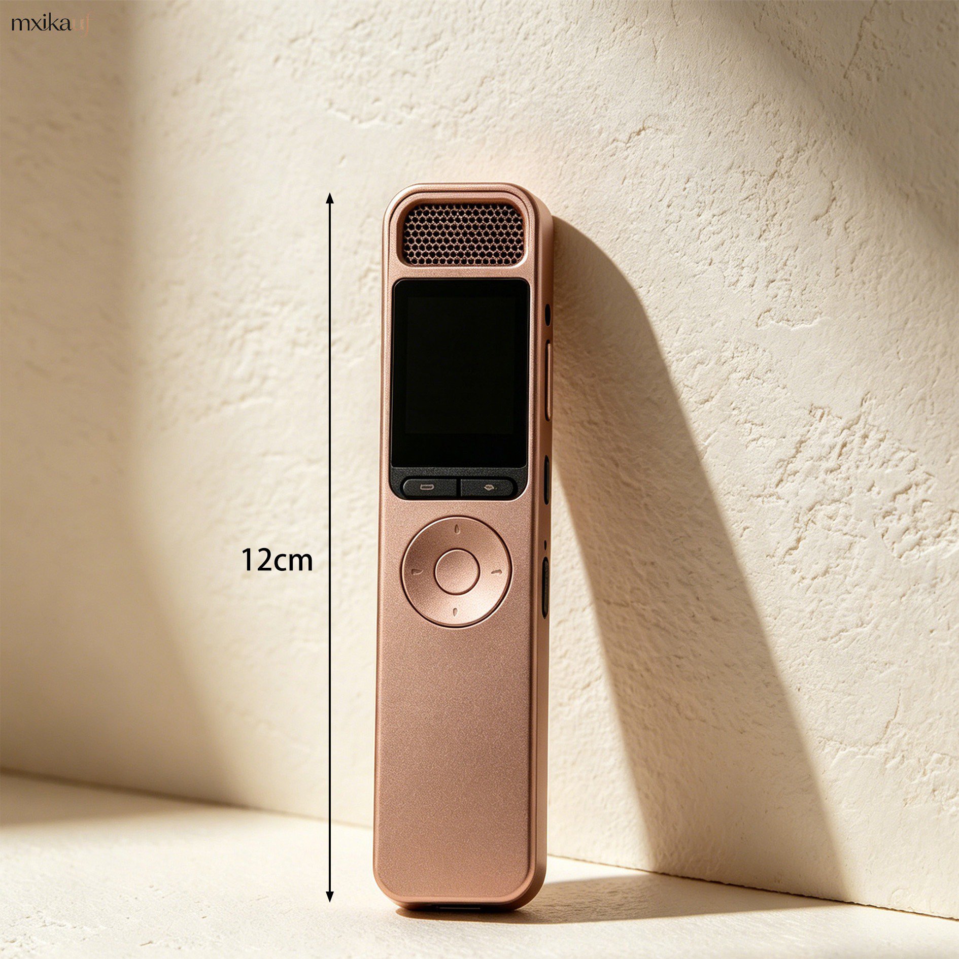 Compact and portable voice recorder for professionals