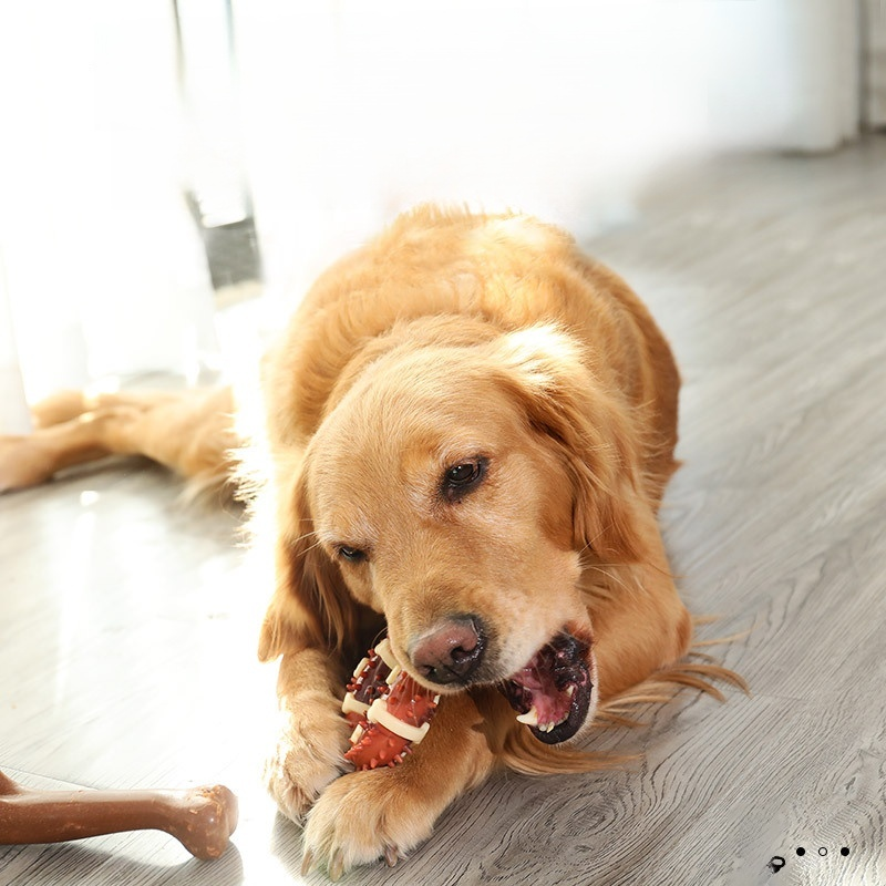 寵物耐咬磨牙骨