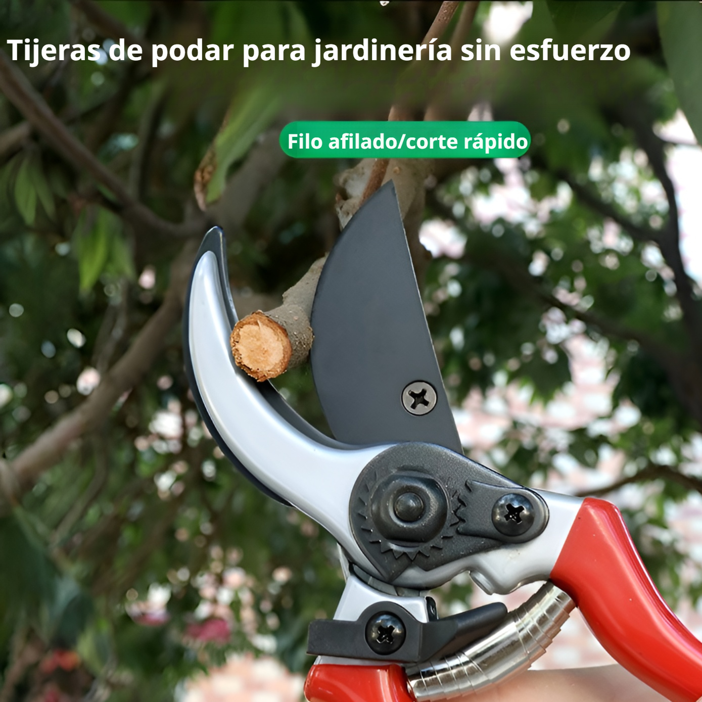 Podadora profesional de acero SK5 para jardinería y árboles frutales