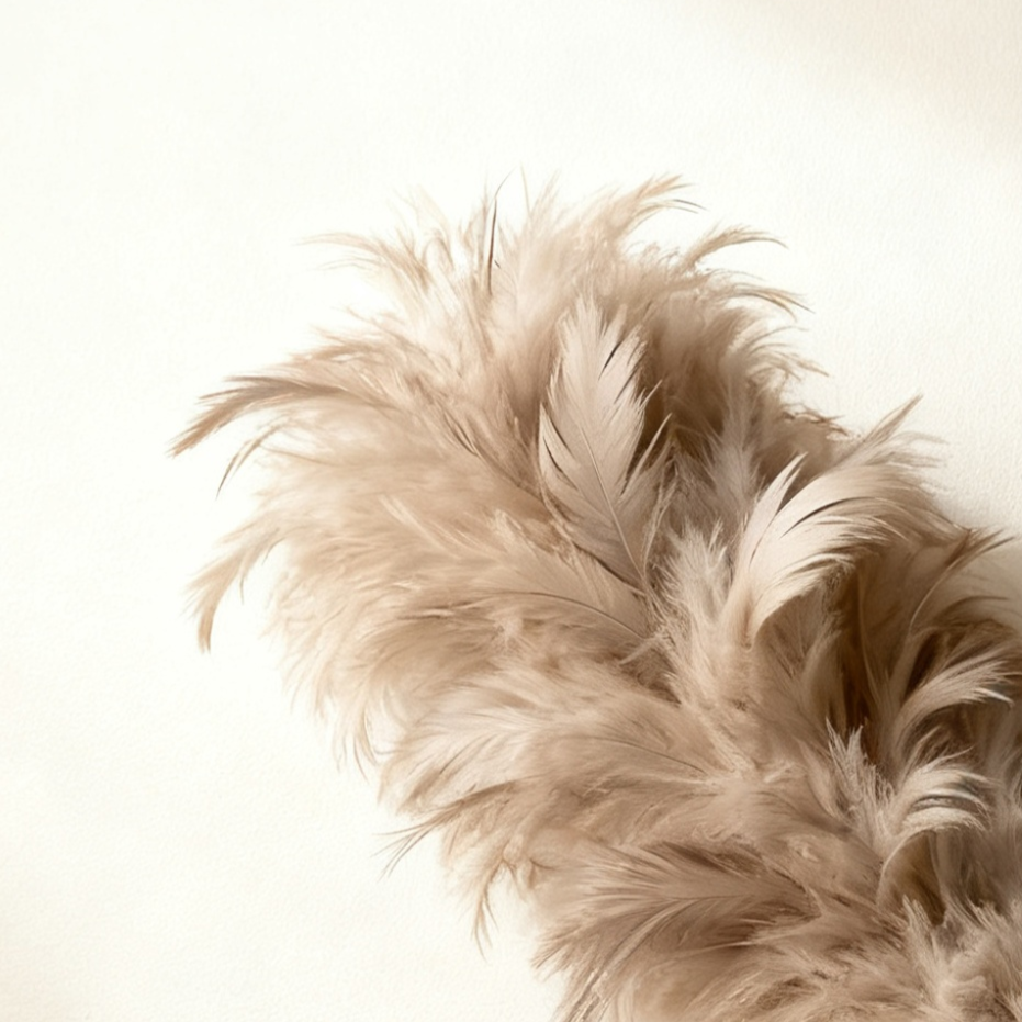 ダストフリー天然羽根羽根ダスター(3枚入)