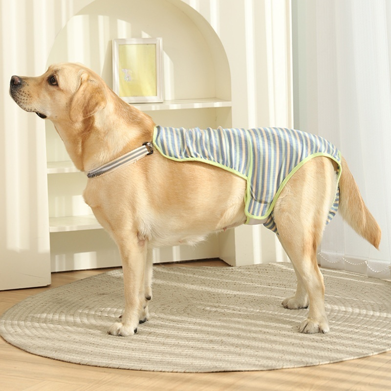 Dog physiological pants for large dogs to prevent mating