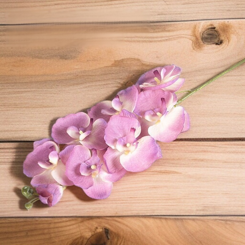 ギフト用に最適なコチョウランダミーフラワー