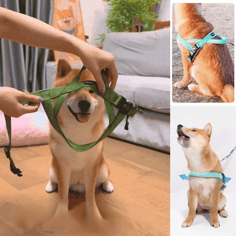 中型犬專用胸背帶