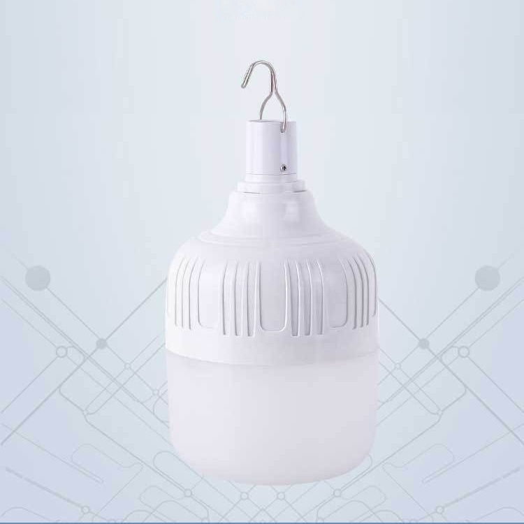 Portable LED pendant light bulb