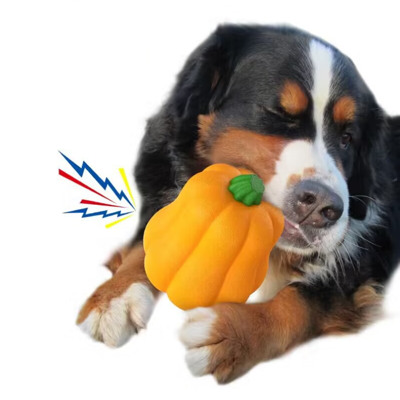 강아지 호박 장난감