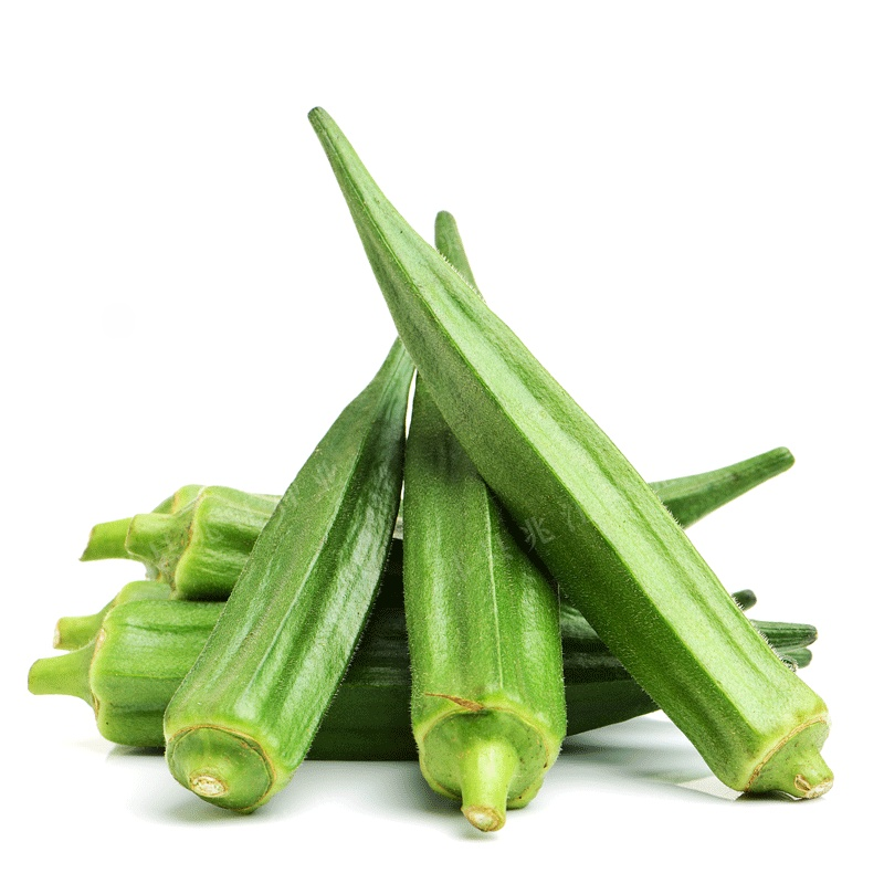 Semillas de Okra Amarilla para Balcón de Cuatro Estaciones