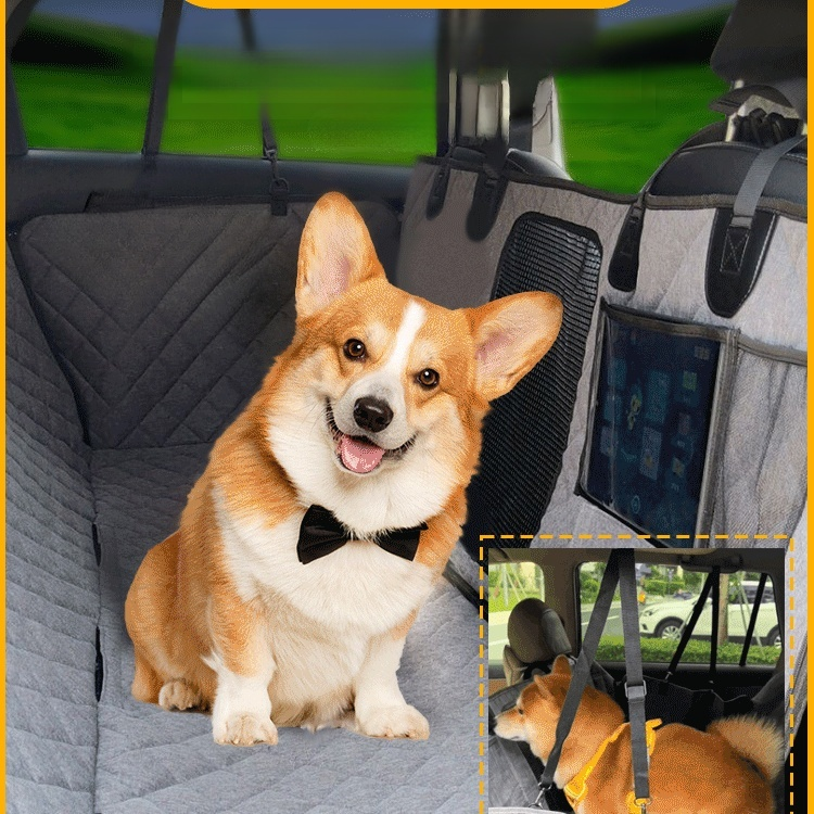 Hundepfoten-Matte fürs Auto