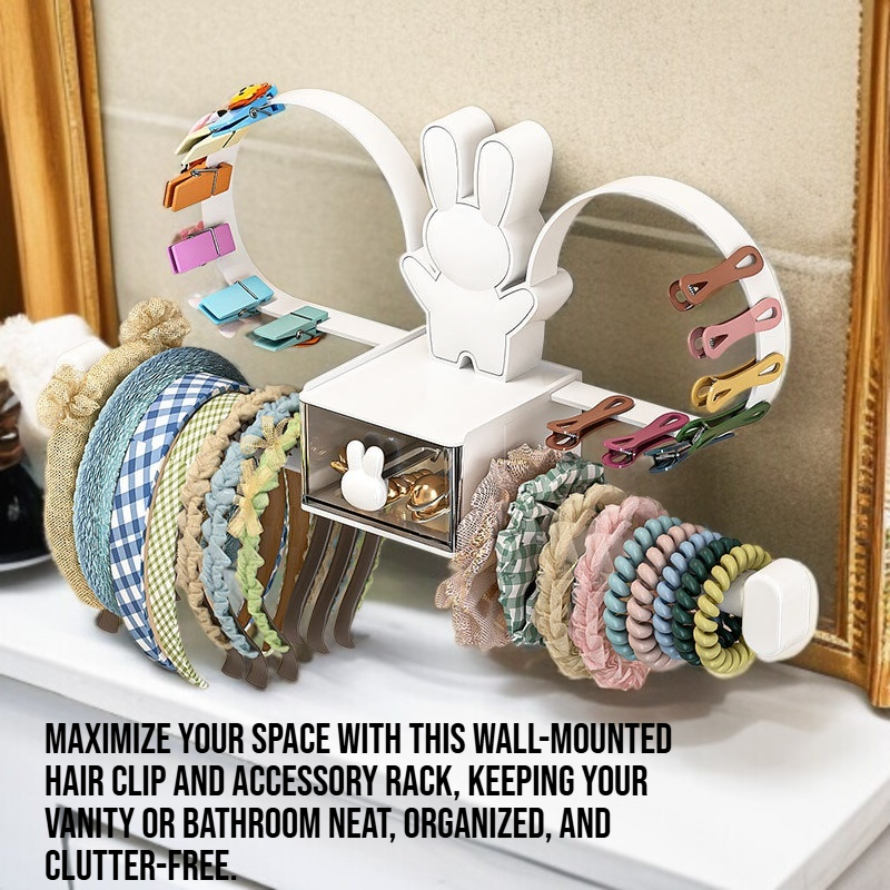 Wall mounted hair clip and accessory storage rack