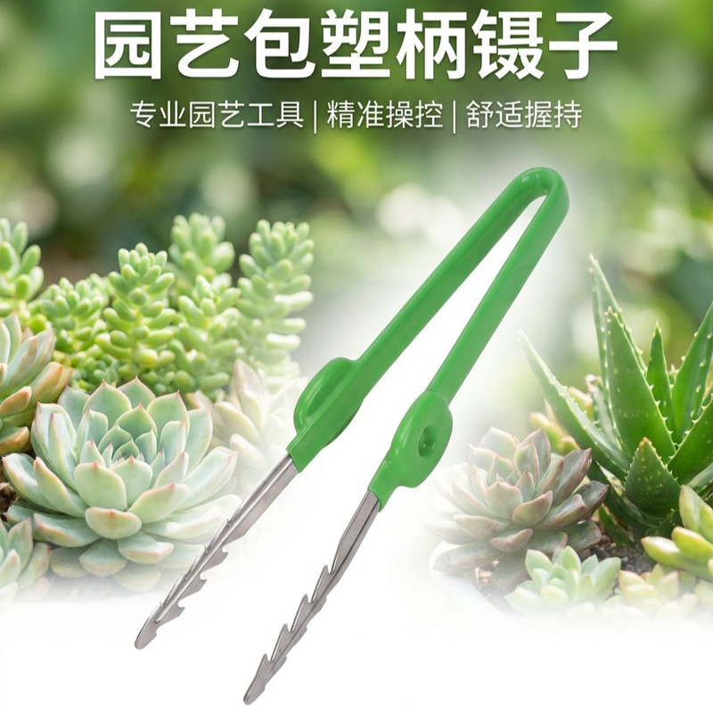 多肉植物或夾取物品的鉗子