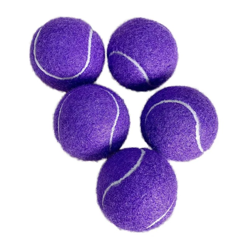 ของเล่นกีฬาฝึกสุนัข