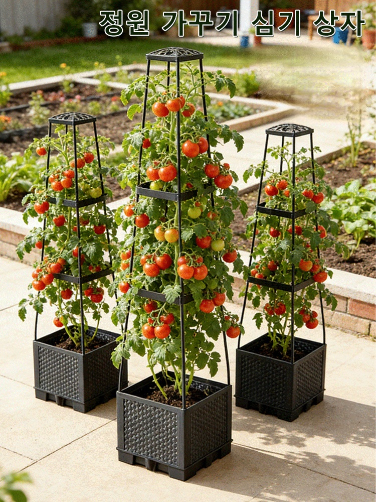 가정용 원예 재배 상자 채소와 꽃 재배