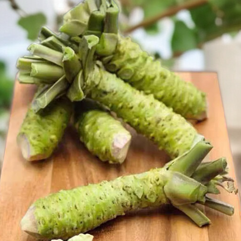 Senfpflanzen im Garten